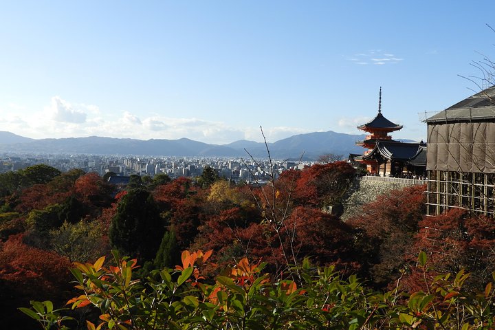 Kyoto Full Day (8 hours) Ultimate Sightseeing Private Tour