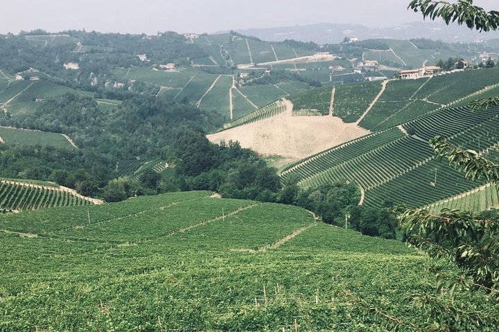 Private Barolo Wine Tour with Winemaker from Turin