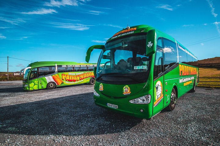 Cliffs of Moher Day Tour from Limerick: Wild Atlantic Way