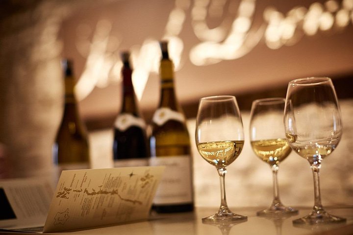 Burgundy Grand Crus Route Day Tour - 14 Wines Tastings in Domains