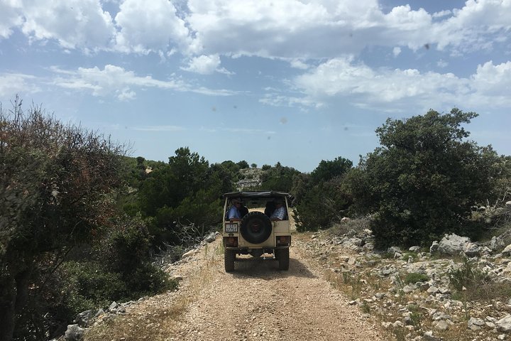 Feel and Taste island Brac with local experts - island adventure to remember