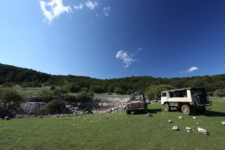 Feel and Taste island Brac with local experts - island adventure to remember