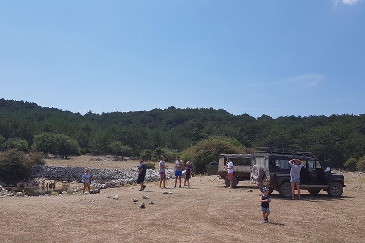 Feel and Taste island Brac with local experts - island adventure to remember