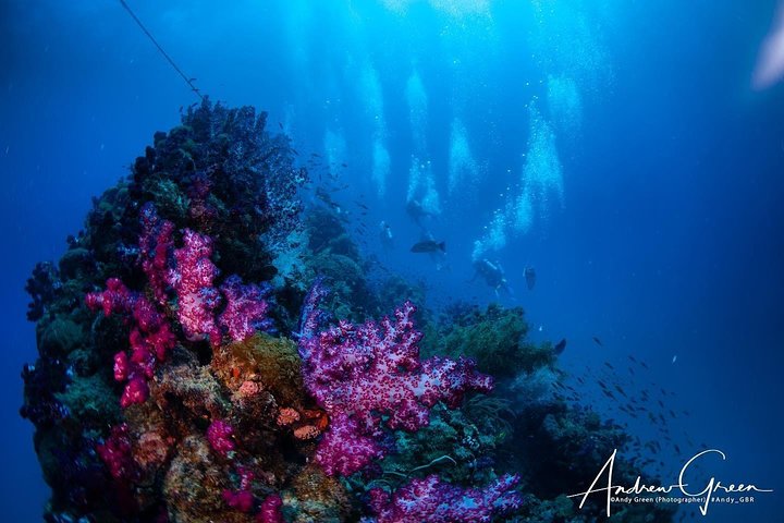 Scuba Dive the S.S. Yongala Wreck on the Great Barrier Reef.