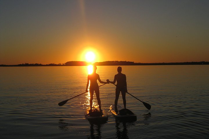 Charleston Stand-Up Paddleboard Eco Tour