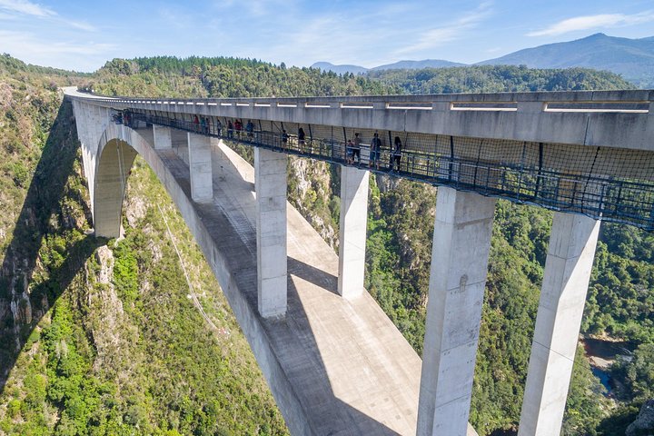 Bloukrans Bungy, the worlds best bungy jump!
