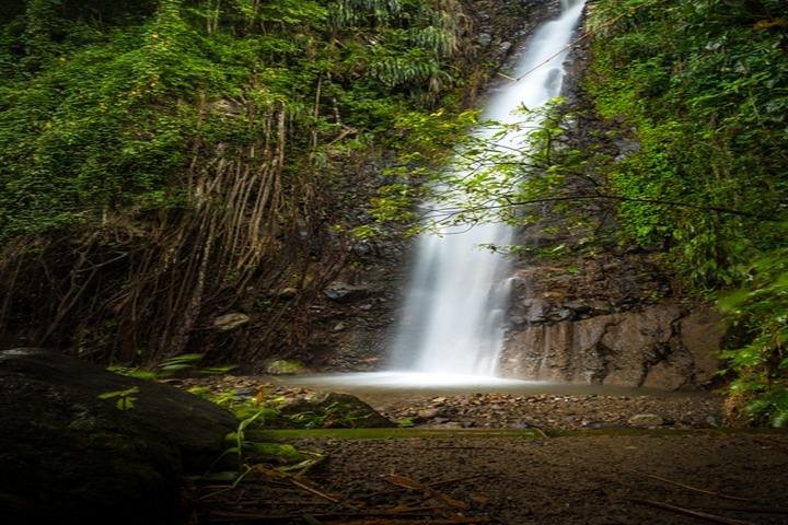Dark View Falls & Botanical Gardens with Trubb Taxi Tours