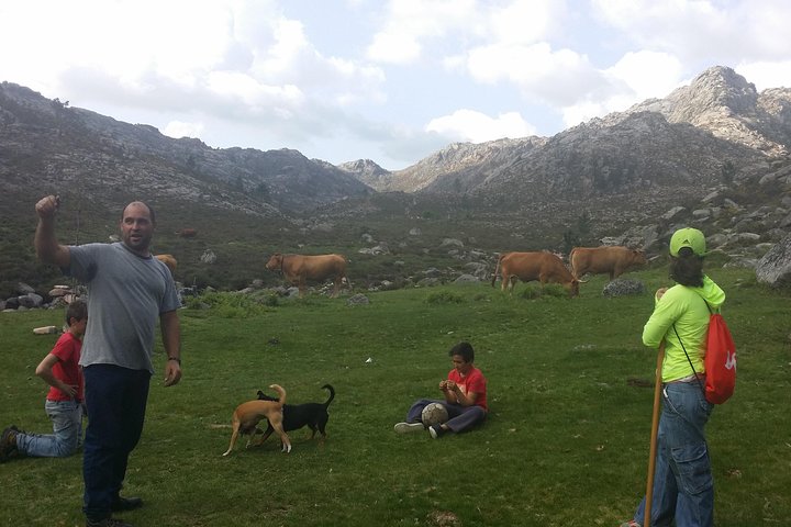 Gerês Nature,Waterfalls,Tasty Lunch!Small Group,Offer Wine bottle