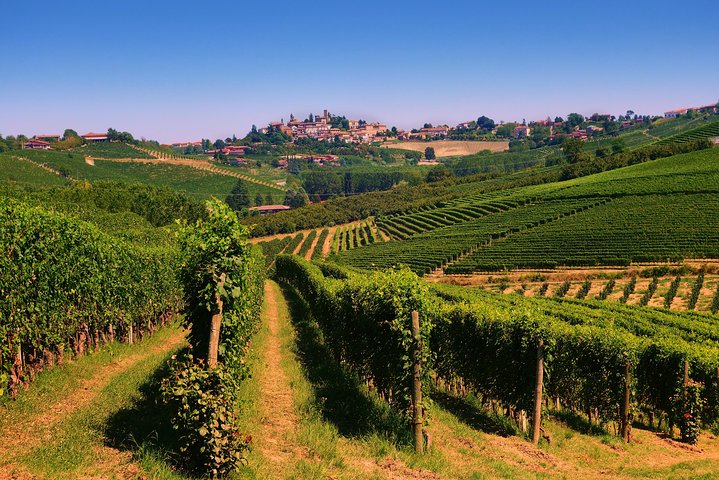 Langhe Wine & Food Tour from Turin: Barolo and More
