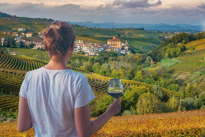 Langhe Wine & Food Tour from Turin: Barolo and More