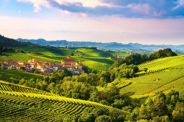 Langhe Wine & Food Tour from Turin: Barolo and More