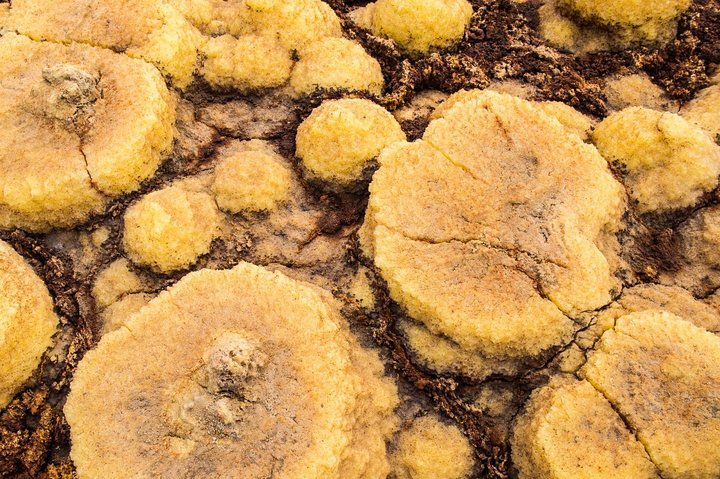 Day trip to Dallol