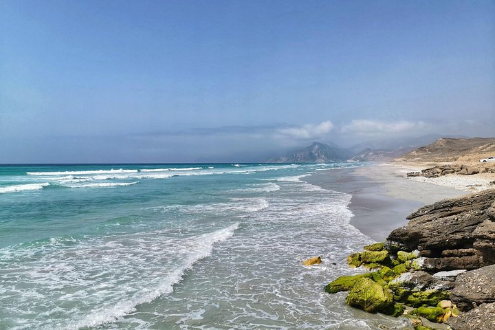 West Salalah, Al Mughsail Beach, White Beach, Frankincense Tree (Half day Tour)