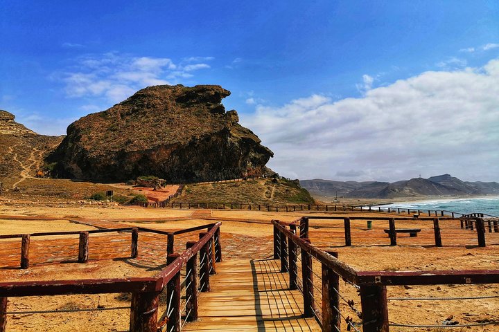 West Salalah, Al Mughsail Beach, White Beach, Frankincense Tree (Half day Tour)
