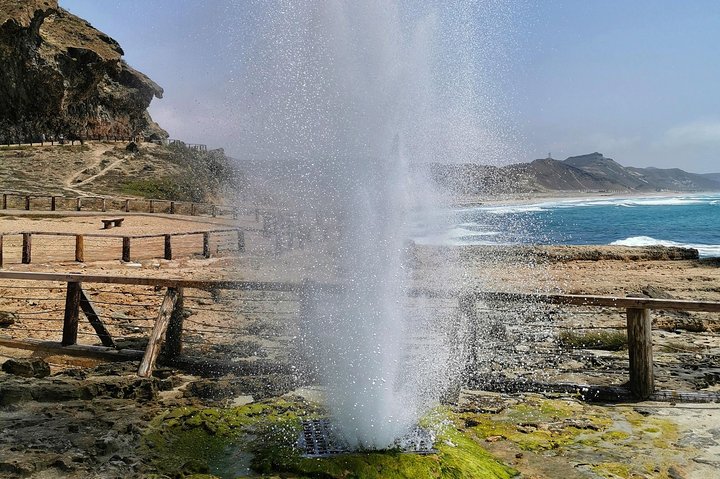 West Salalah, Al Mughsail Beach, White Beach, Frankincense Tree (Half day Tour)
