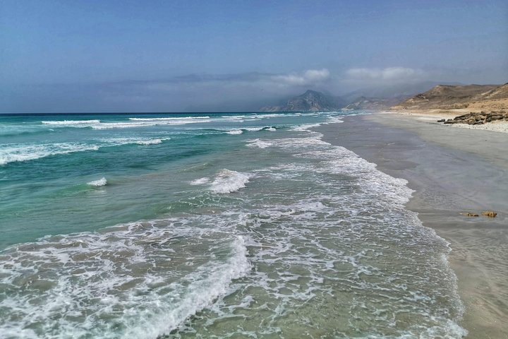 West Salalah, Al Mughsail Beach, White Beach, Frankincense Tree (Half day Tour)