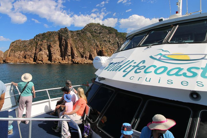 Cape Woolamai Sightseeing Cruise from San Remo