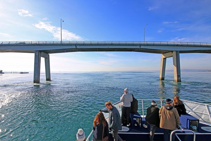 Cape Woolamai Sightseeing Cruise from San Remo