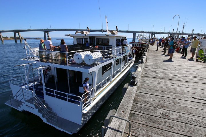 Cape Woolamai Sightseeing Cruise from San Remo
