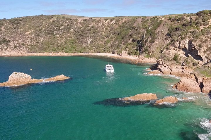 Cape Woolamai Sightseeing Cruise from San Remo