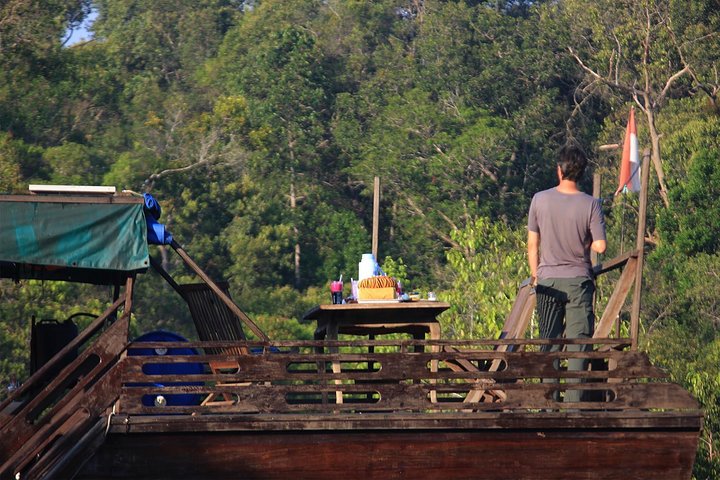 3ns Private Orangutan and Bornean Primates Kelotok Tour