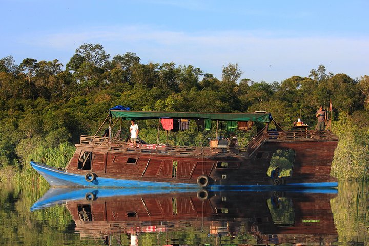 3ns Private Orangutan and Bornean Primates Kelotok Tour