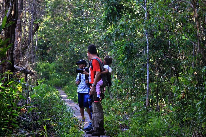 2Ns Orangutan Kelotok Tour in Tanjung Puting Kalimantan - Borneo