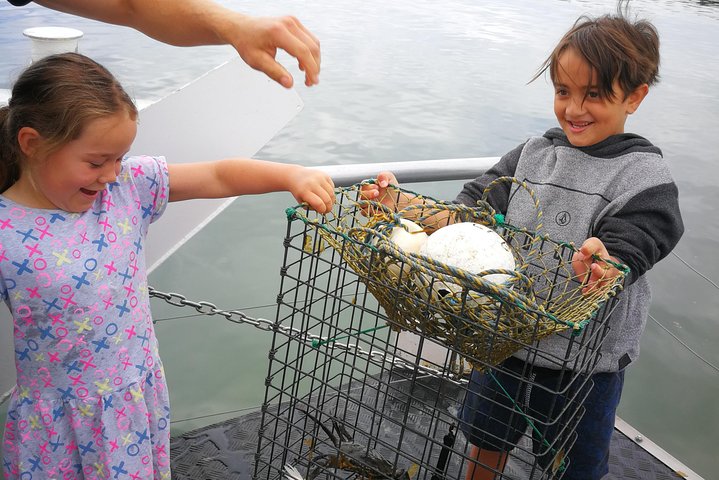 Bush Tucker and Crab Encounters Cruise