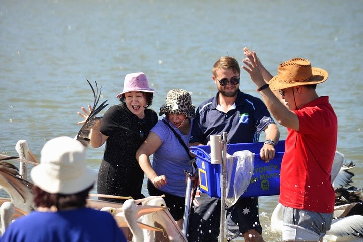 Bush Tucker and Crab Encounters Cruise