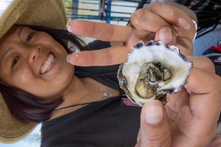 Bush Tucker and Crab Encounters Cruise