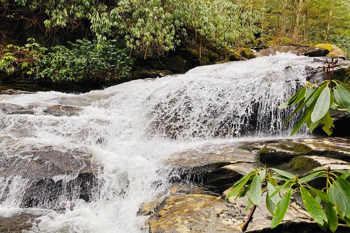 Chasing Waterfalls: A Smoky Mountain Guided Hike