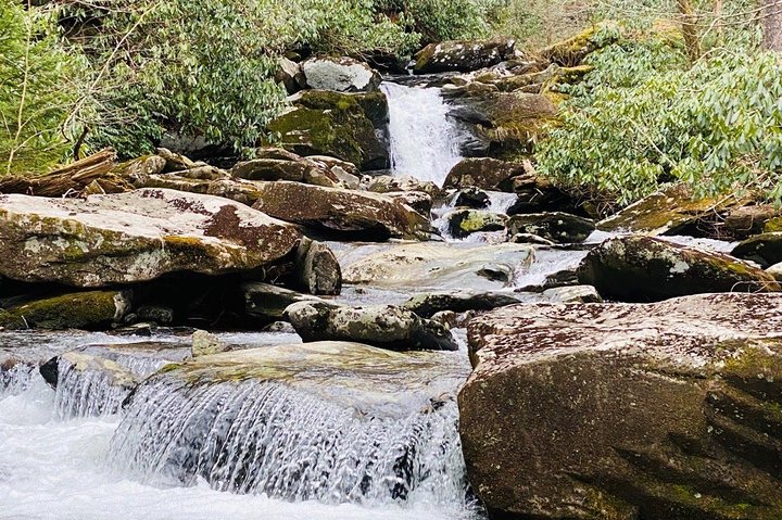 Chasing Waterfalls: A Smoky Mountain Guided Hike