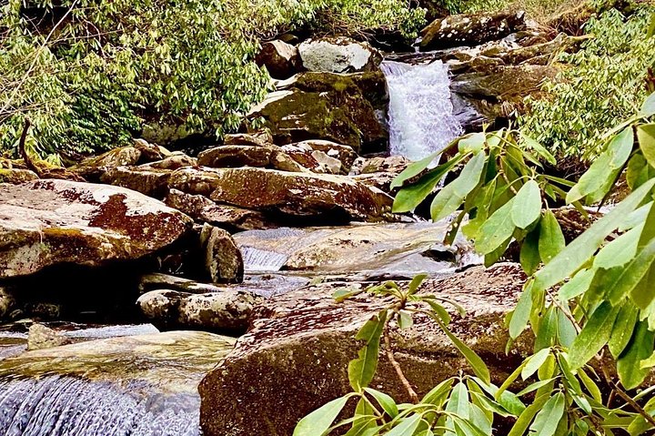 Chasing Waterfalls: A Smoky Mountain Guided Hike