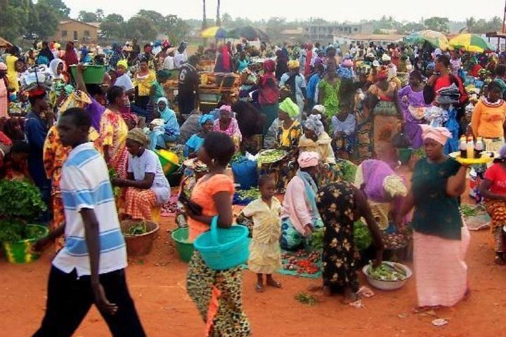 Genuine "4 Tours In 1 Day" (south of Gambia)