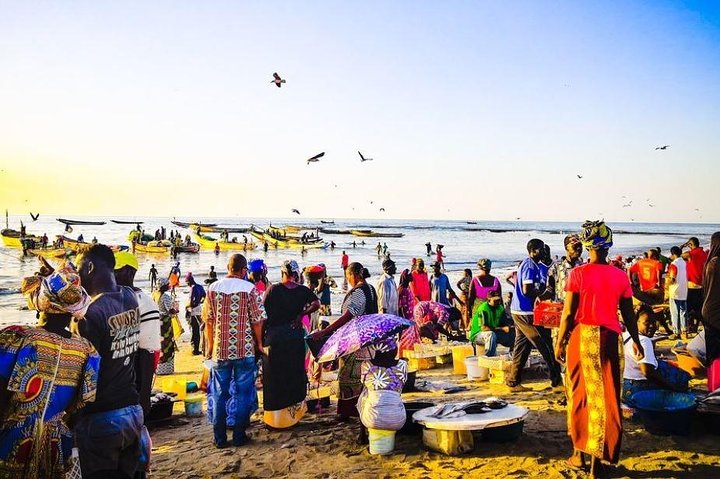 Genuine "4 Tours In 1 Day" (south of Gambia)