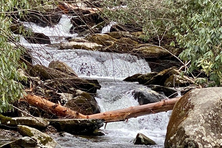 Chasing Waterfalls: A Smoky Mountain Guided Hike