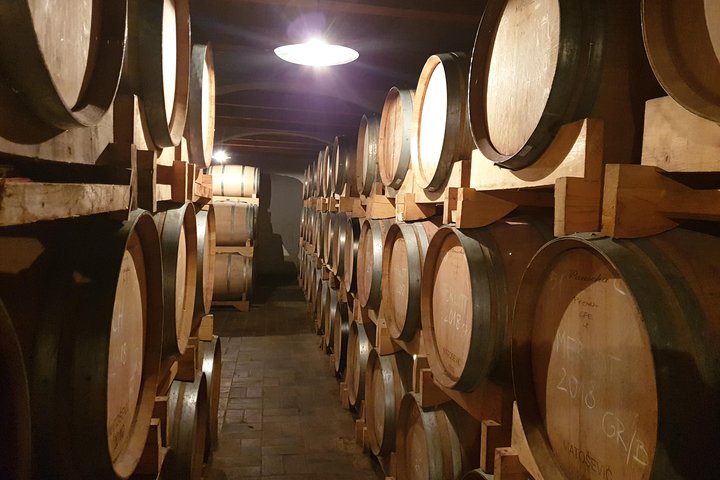 Wine Tour - The Best of Istria