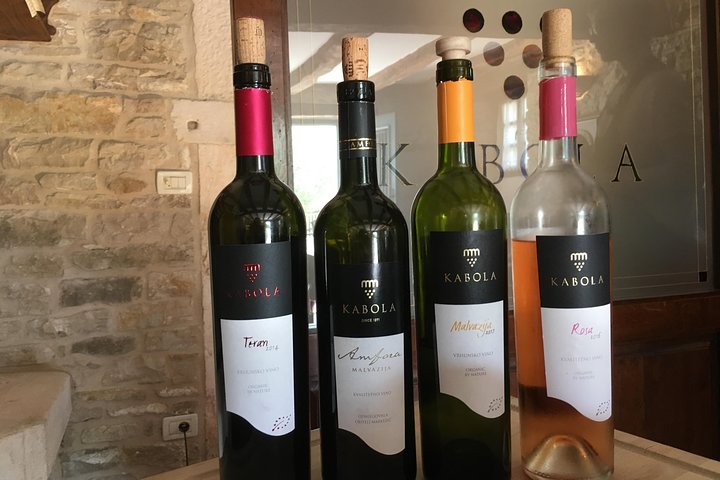 Wine Tour - The Best of Istria