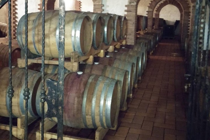 Wine Tour - The Best of Istria