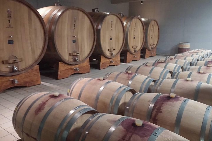 Wine Tour - The Best of Istria