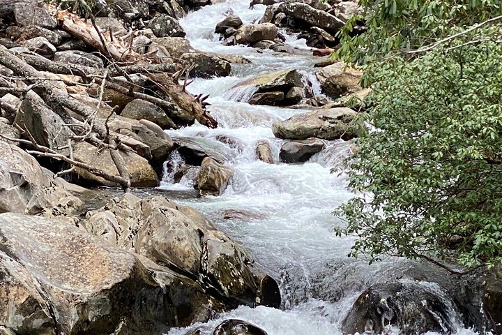 Chasing Waterfalls: A Smoky Mountain Guided Hike