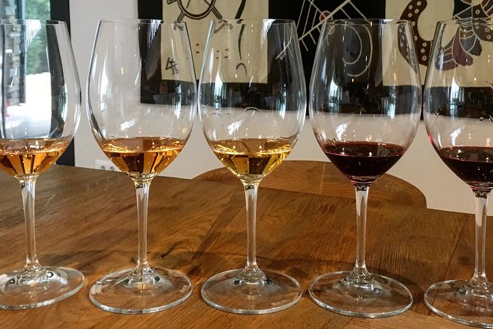 Wine Tour - The Best of Istria