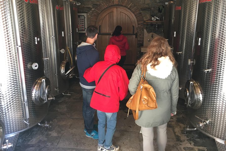 Wine Tour - The Best of Istria