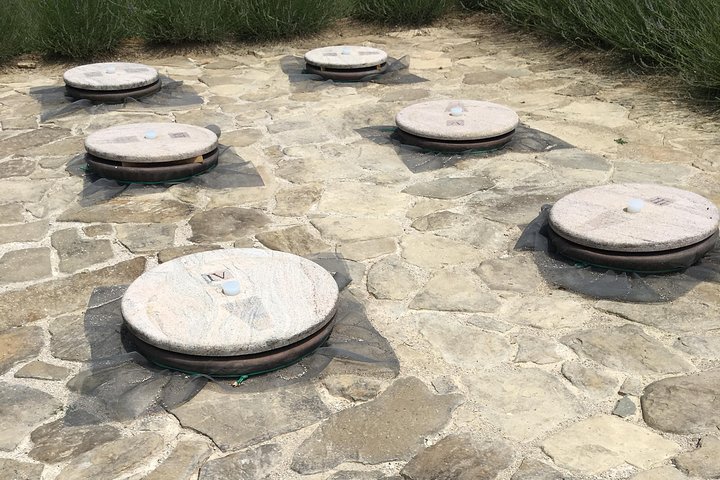 Wine Tour - The Best of Istria
