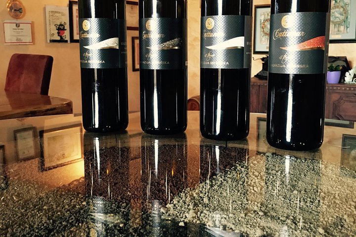 Wine Tour - The Best of Istria