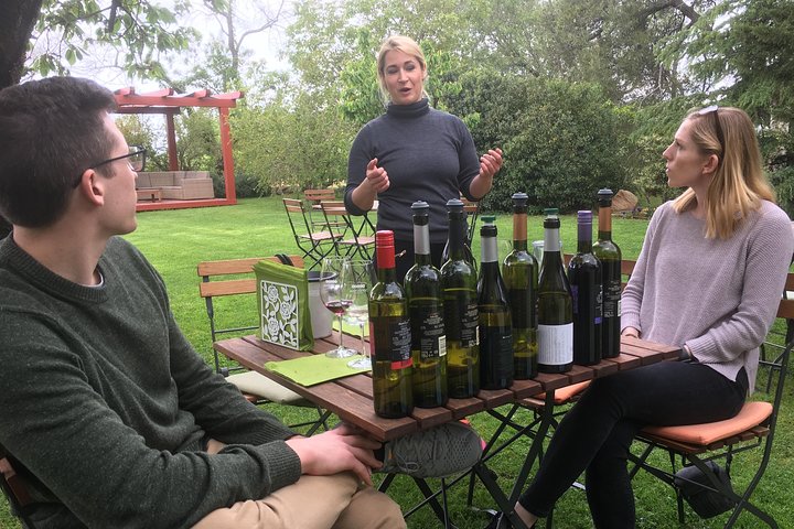 Wine Tour - The Best of Istria