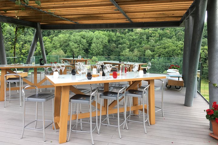 Wine Tour - The Best of Istria