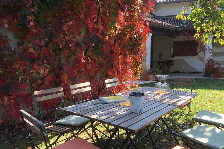 Wine Tour - The Best of Istria