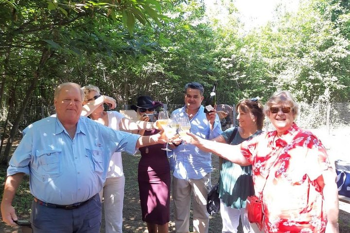 Private 6-Hour Tour of Three Etna Wineries with food&wine tasting