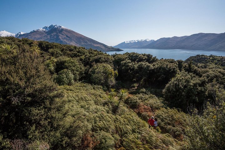 Wanaka Water Taxi Mou Waho Island Tour